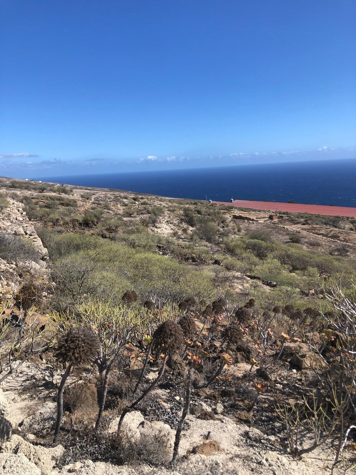 Terreno del Tablado al Escobonal