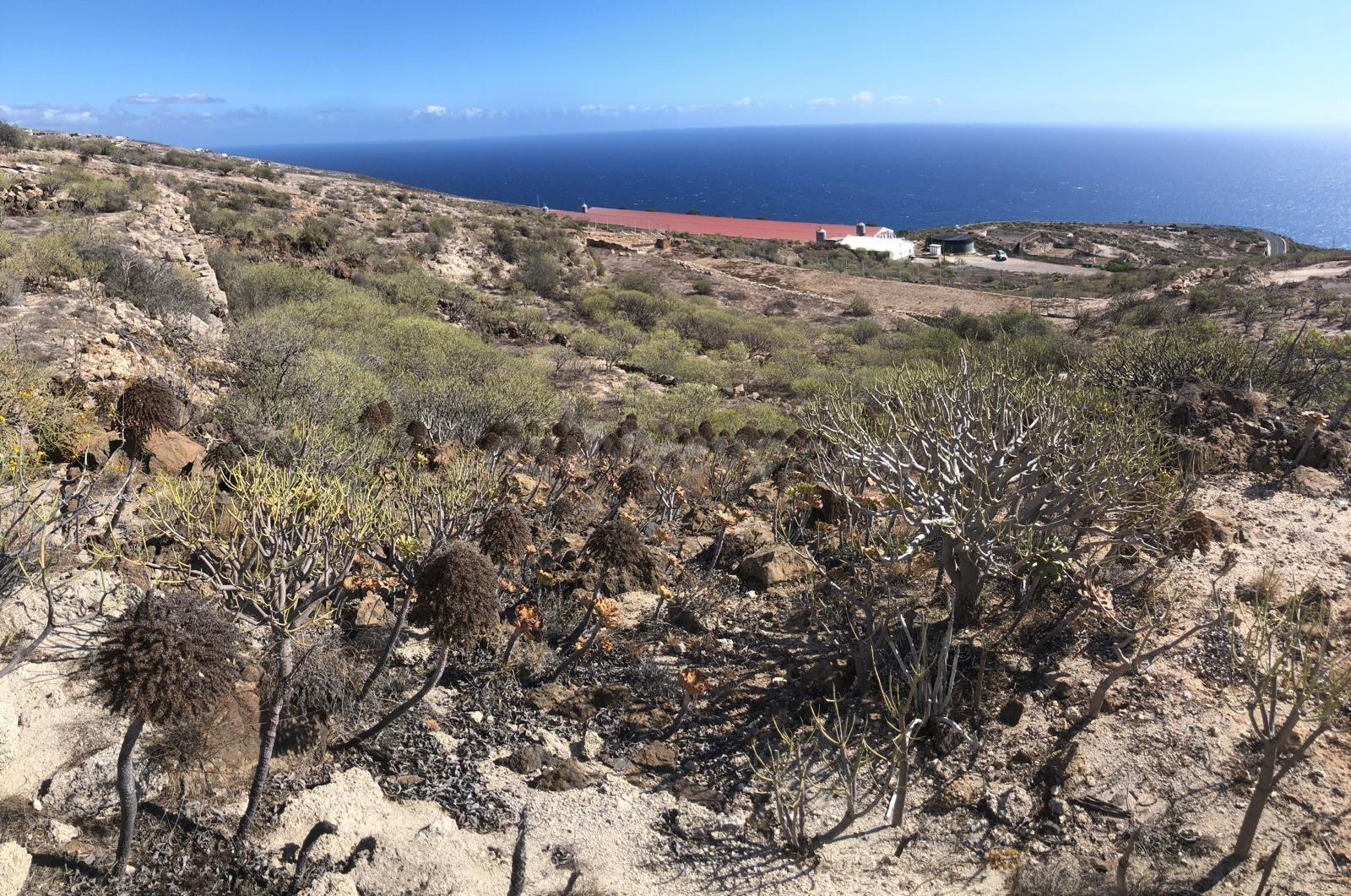 Terreno del Tablado al Escobonal - foto 4