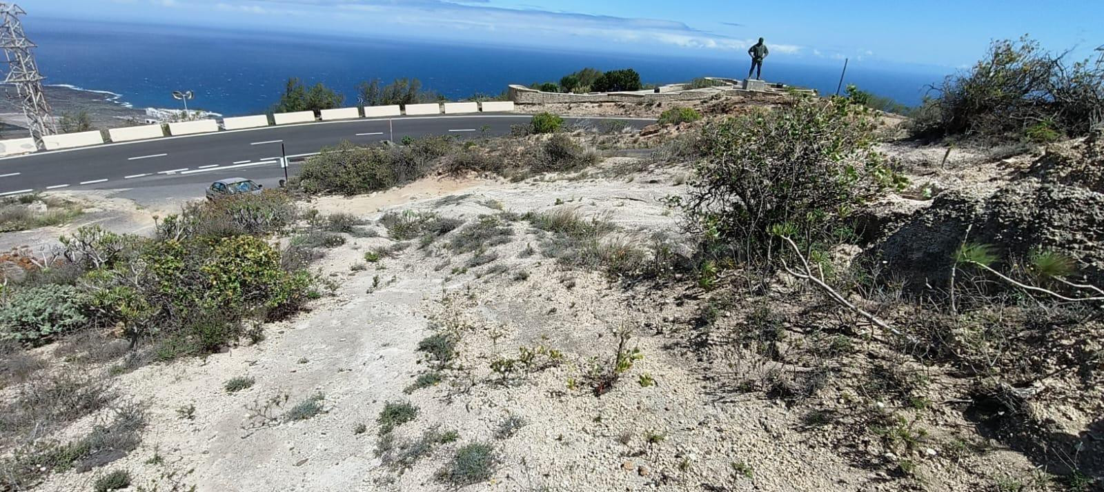Terreno Guimar - foto 2