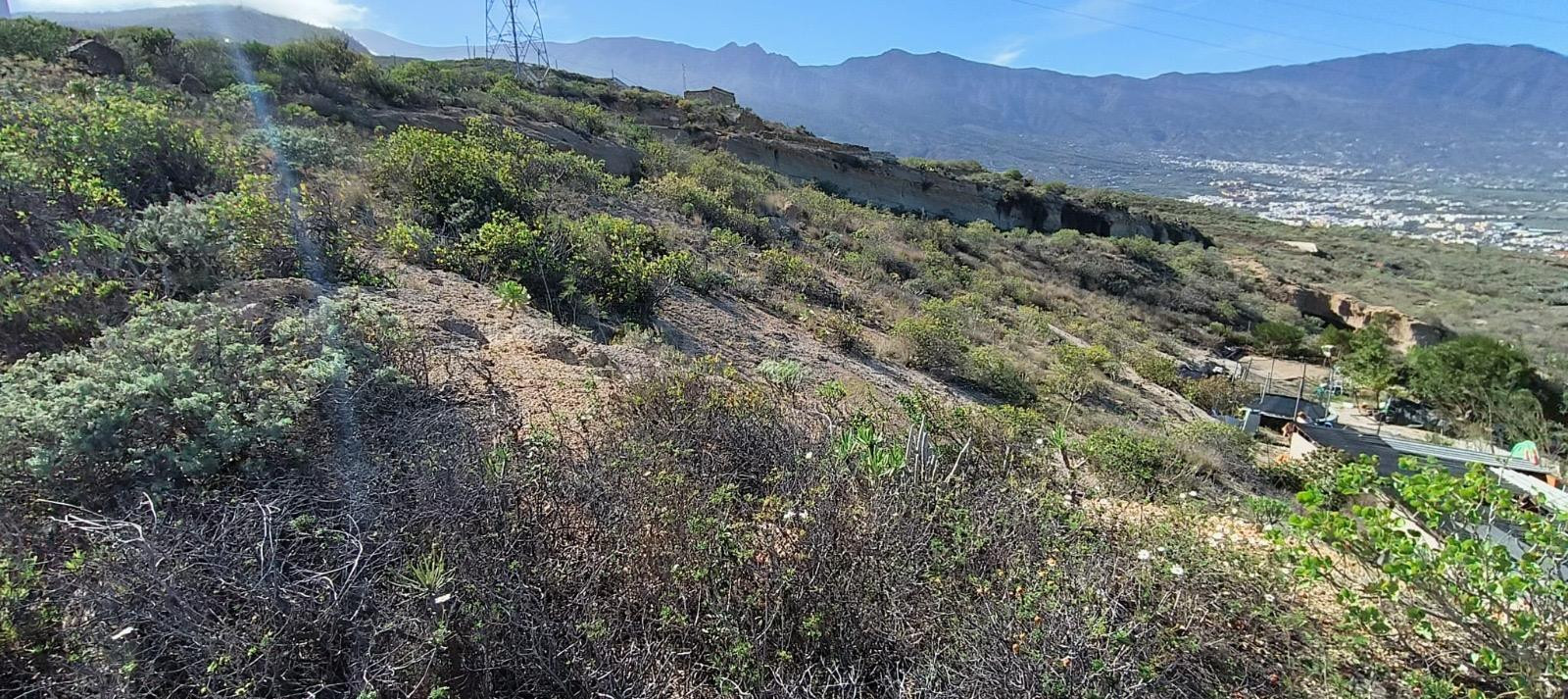 Terreno Guimar - foto 5