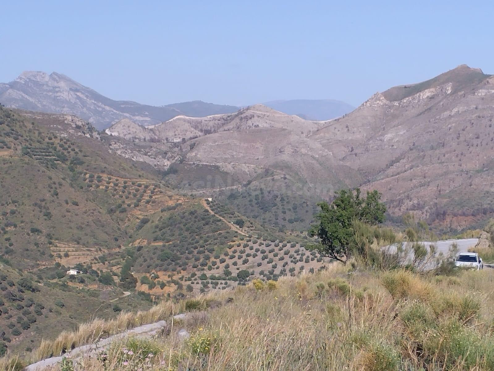 TERRENO EN VENTA EN EL CERVAL - ALMUÑÉCAR - foto 3