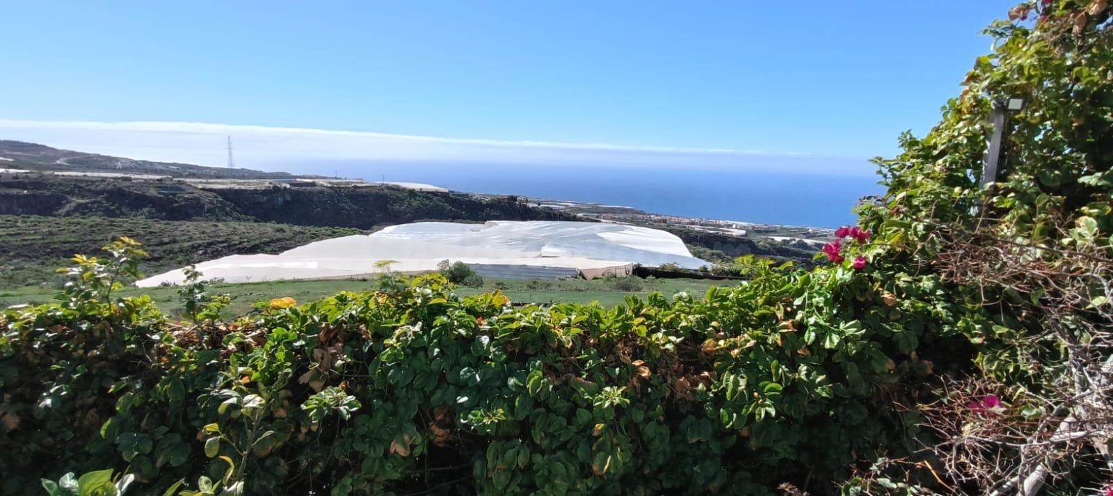 Finca con encanto en Playa San Juan - foto 4