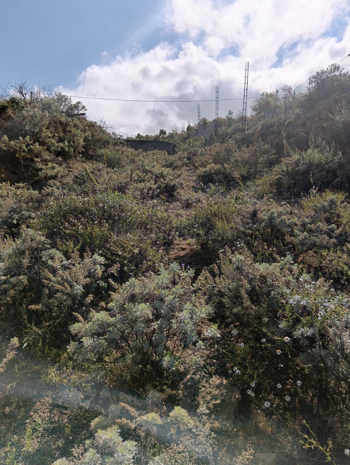 Terreno rústico con espectaculares vistas en Las Vistas, Fas - foto 3