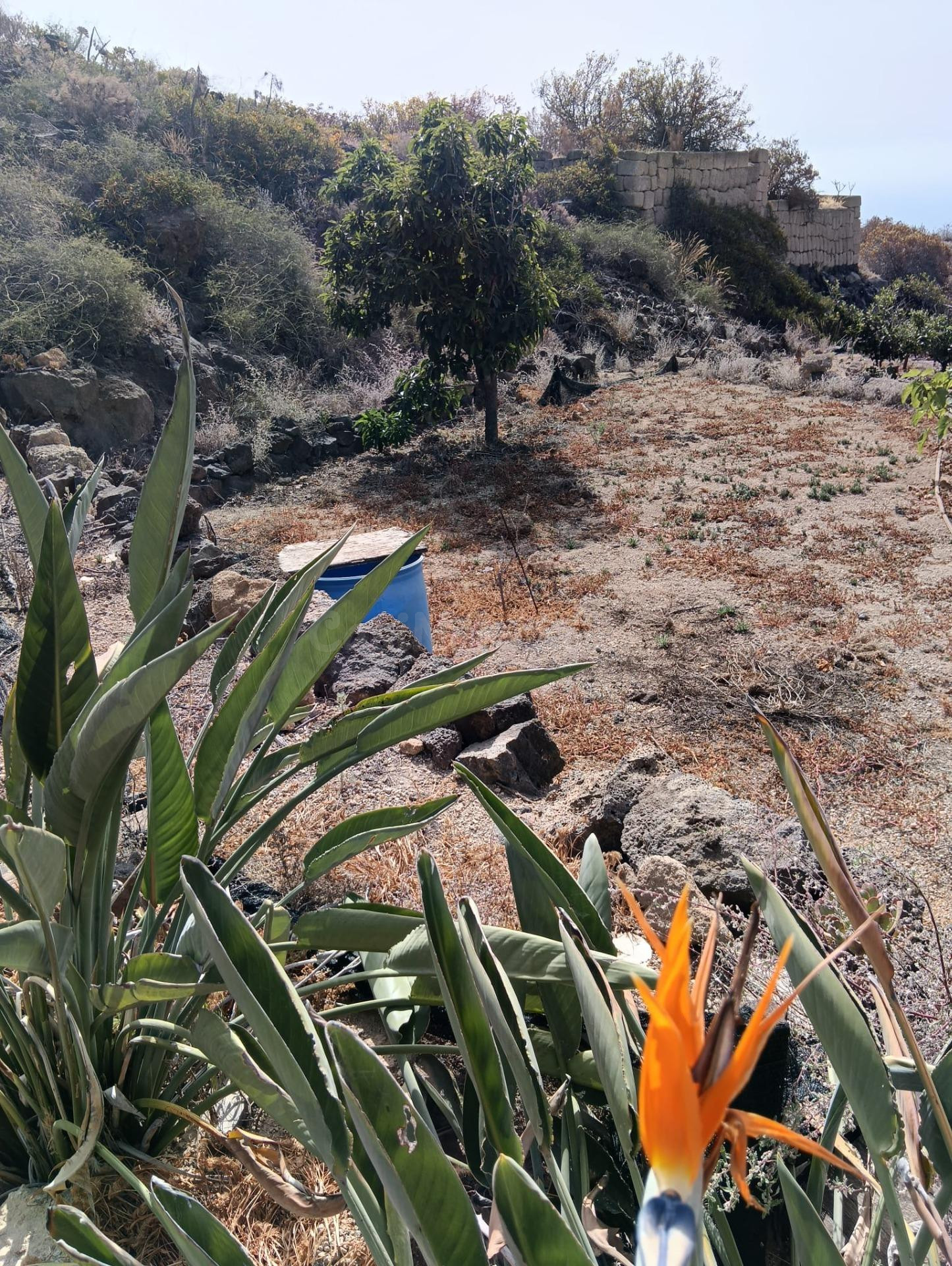 Terreno en el Salto - foto 3