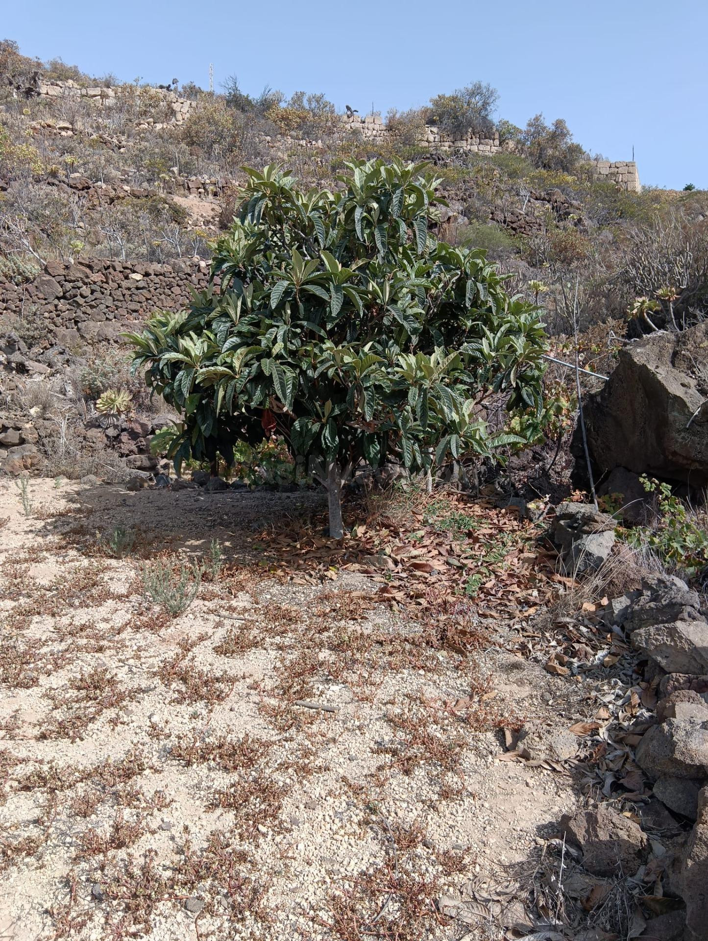 Terreno en el Salto - foto 4