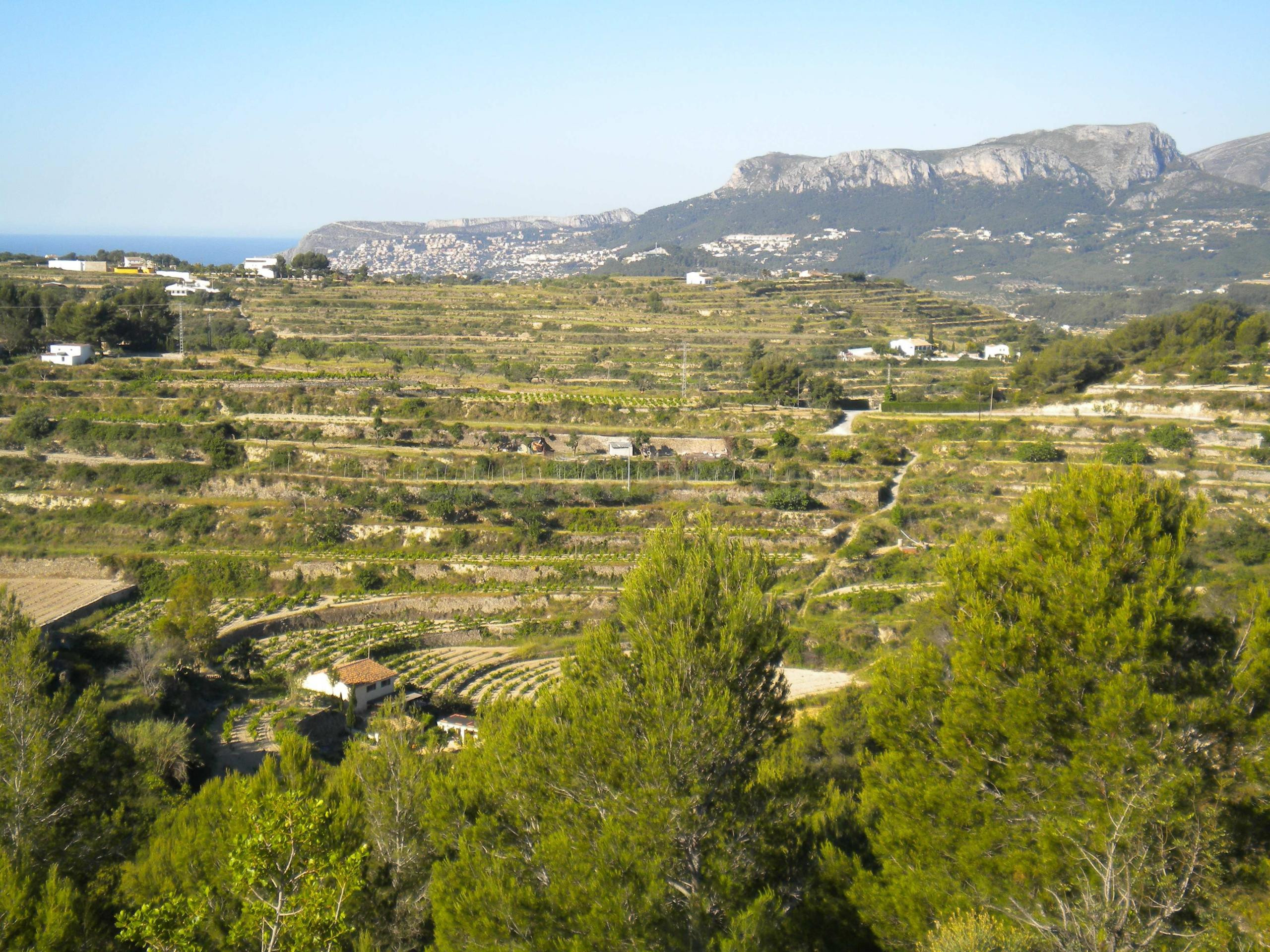Parcela en venta - Benissa pueblo
