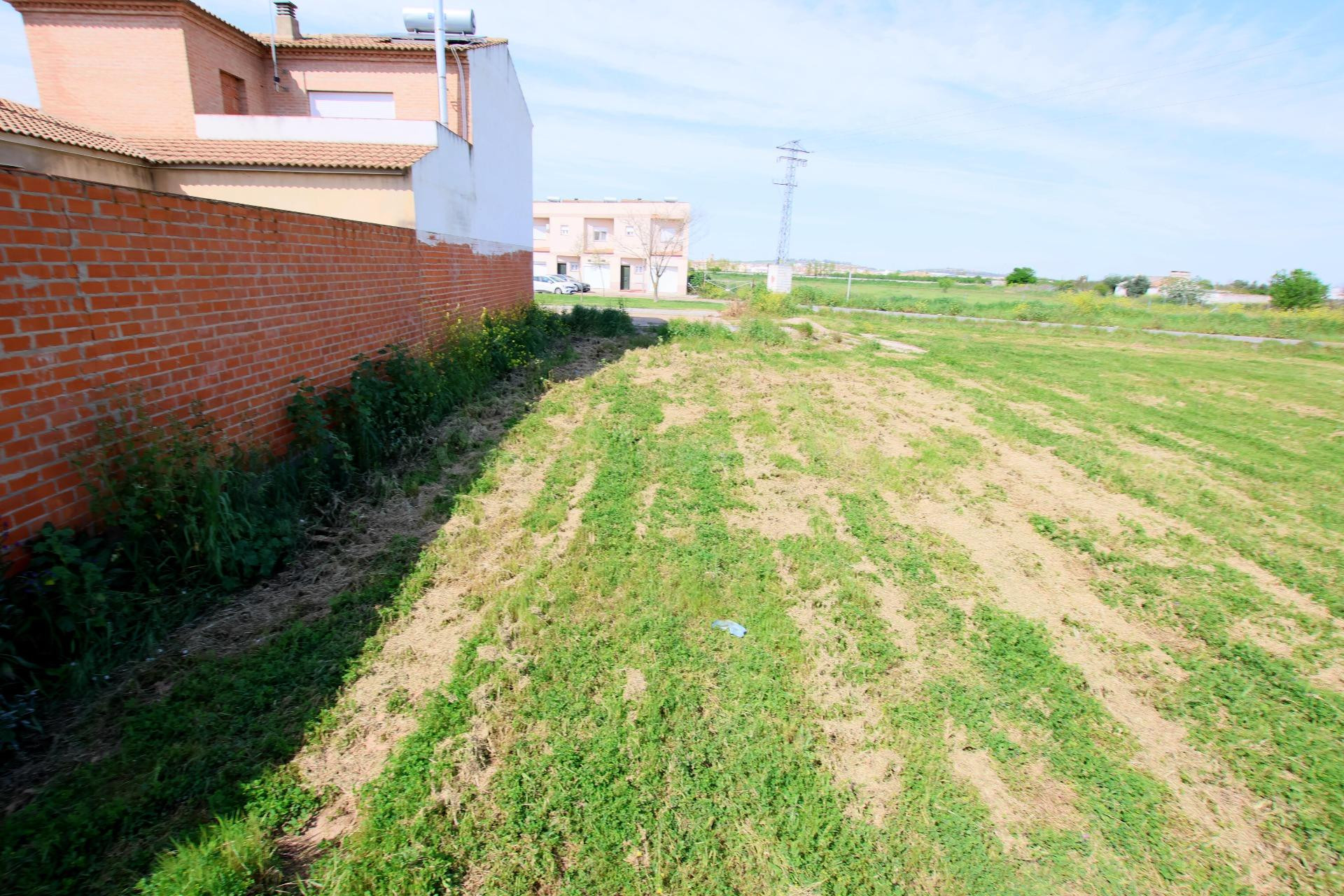 SOLAR CON 8M DE FACHADA EN ZONA DE SANTO TORIBIO