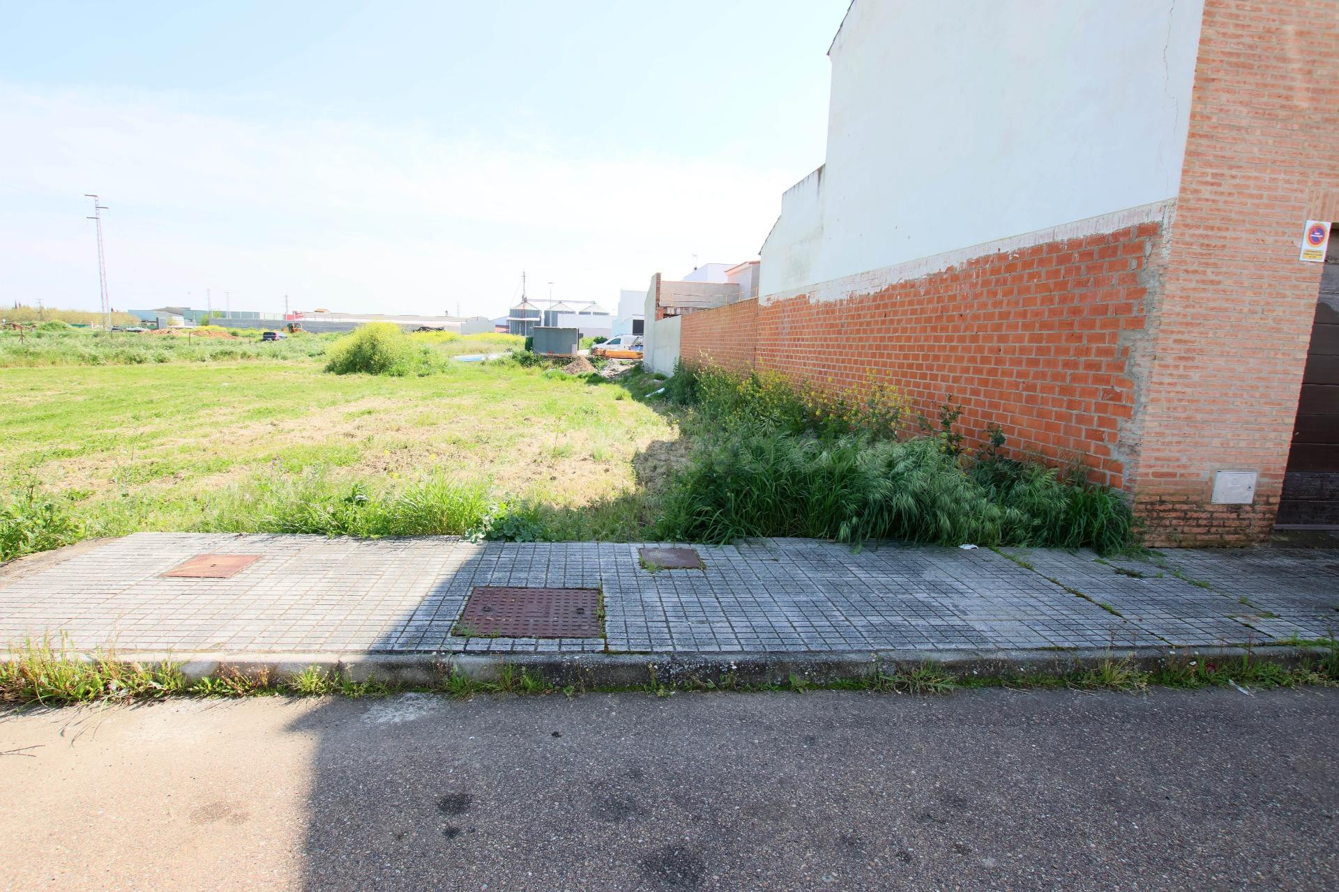 SOLAR CON 8M DE FACHADA EN ZONA DE SANTO TORIBIO - foto 2
