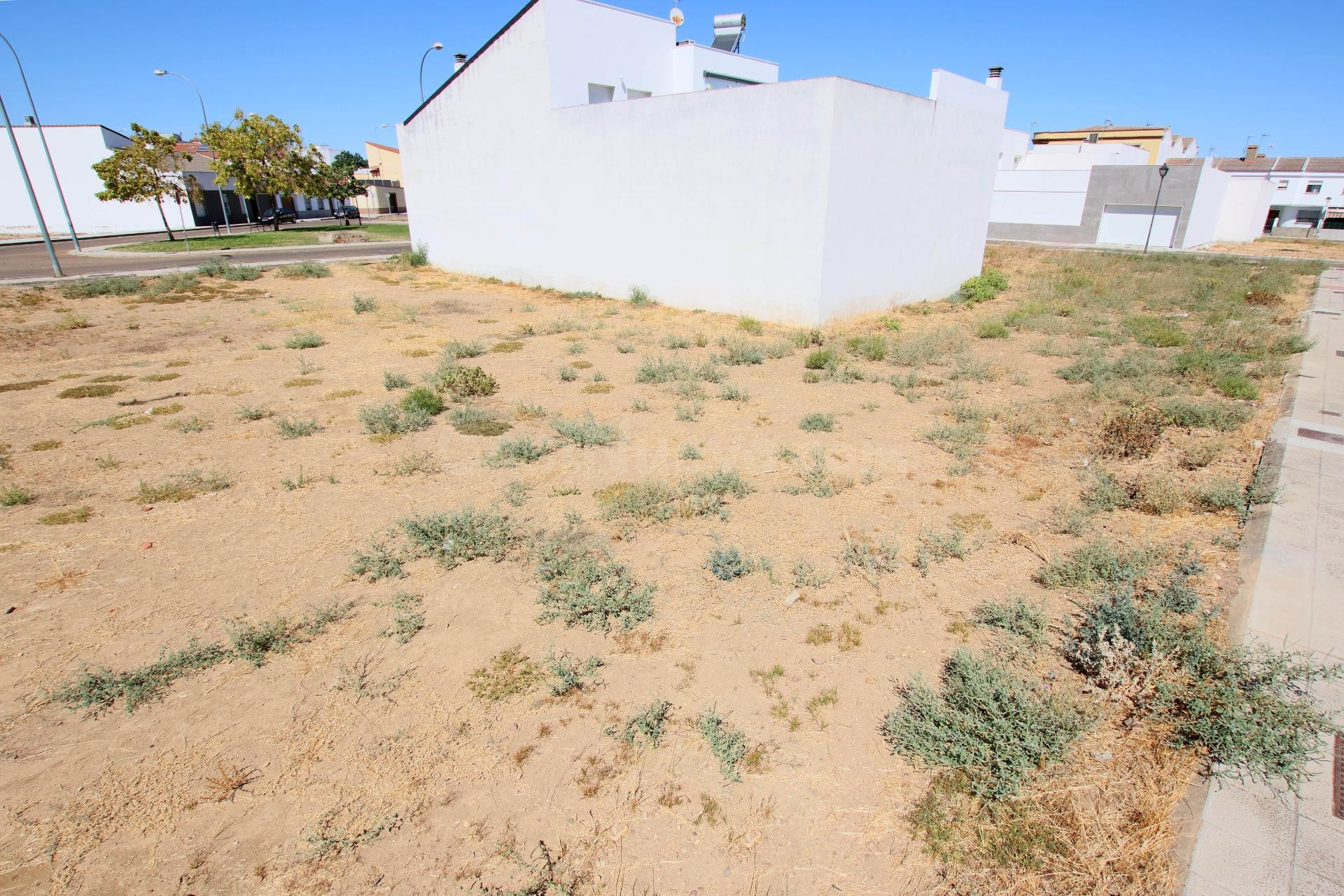 Solar en zona de Padel de Montijo - foto 3