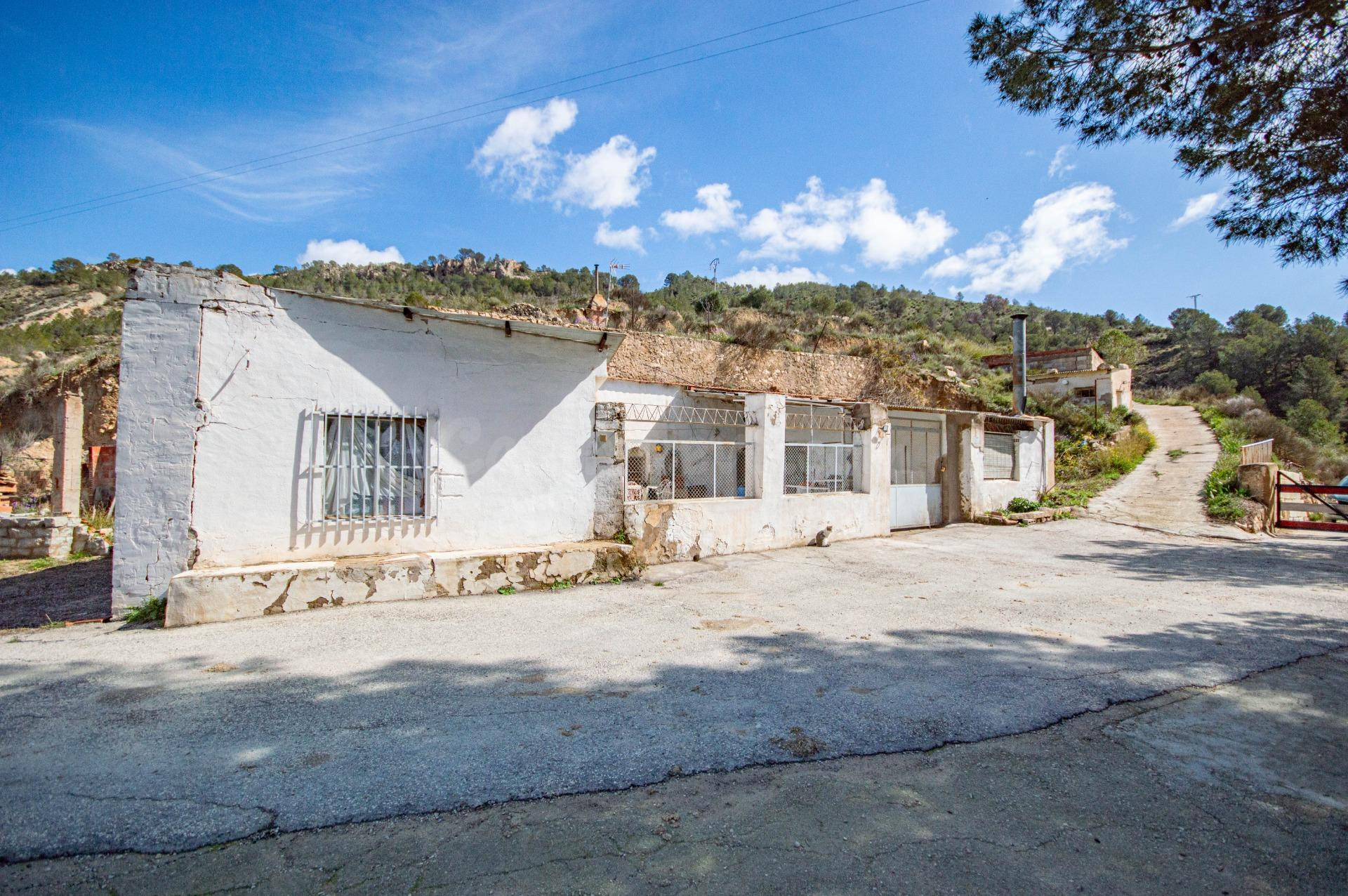 CASA DE CAMPO EN PETRER, ZONA ALMADRABA