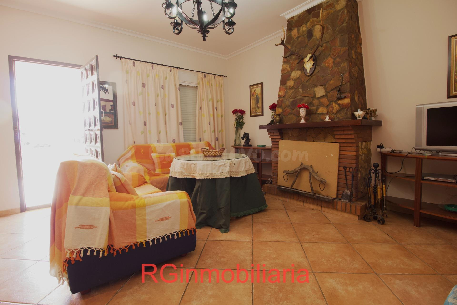 Espectacular chalet con 13.000 m2 de terreno y olivar en pro - foto 5