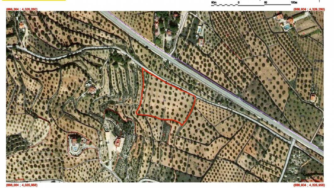 Terreno rural en venta - AYORA - foto 2