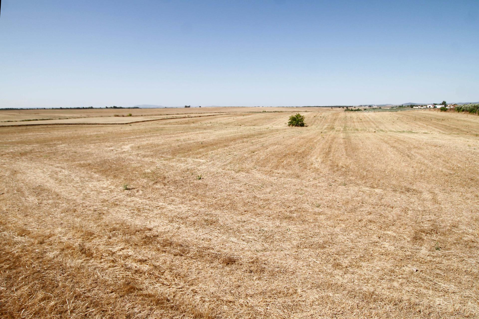 Terreno de 40.000 m junto Urb. Río Caya - foto 2