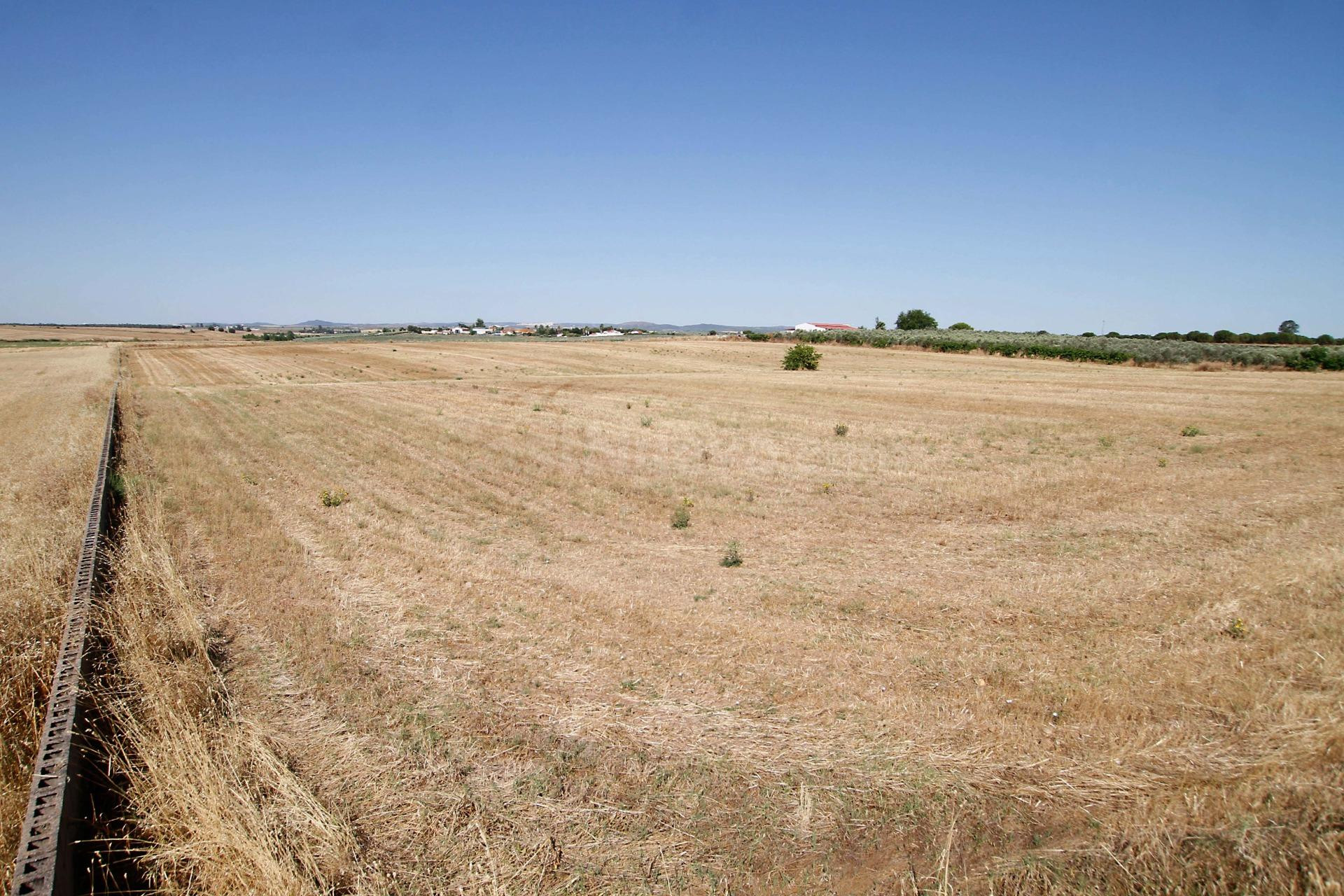 Terreno de 40.000 m junto Urb. Río Caya - foto 4