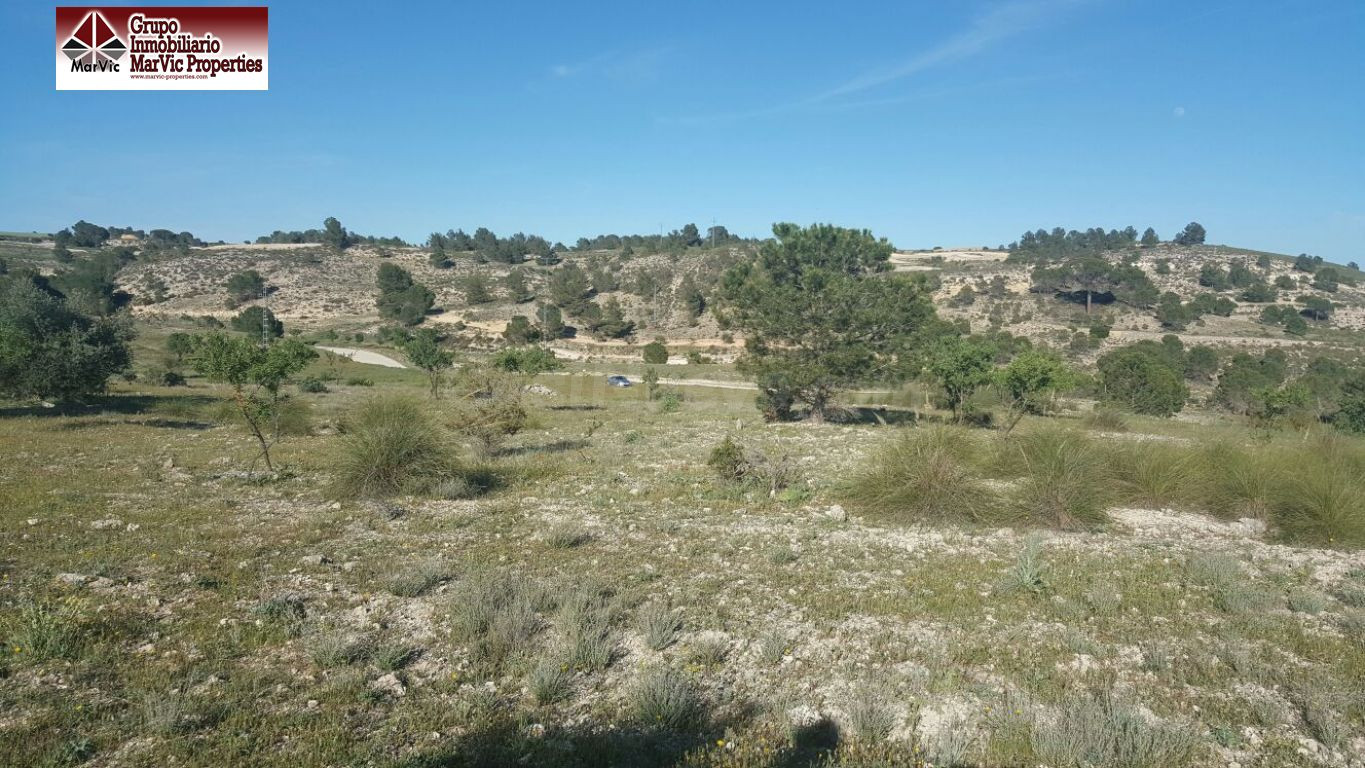 Parcela rustica en Albacete - foto 4