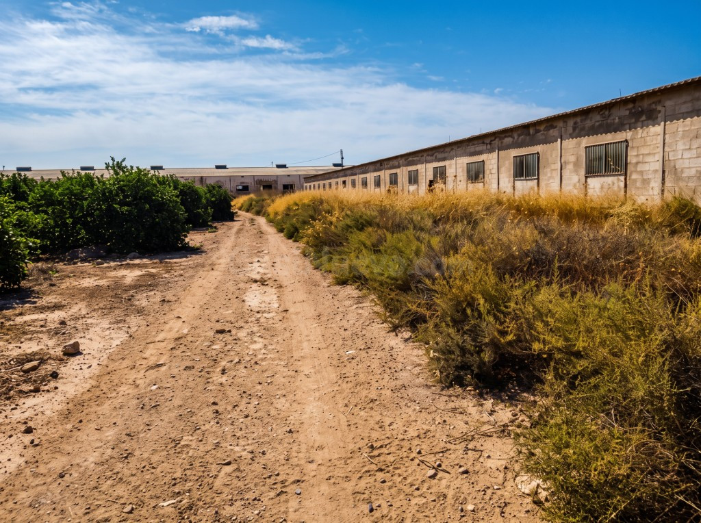 Casa de campo-Masía en Venta en Canovas, Los Murcia - foto 2