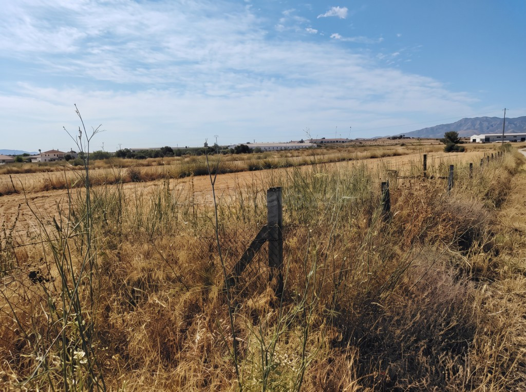 Casa de campo-Masía en Venta en Canovas, Los Murcia - foto 3