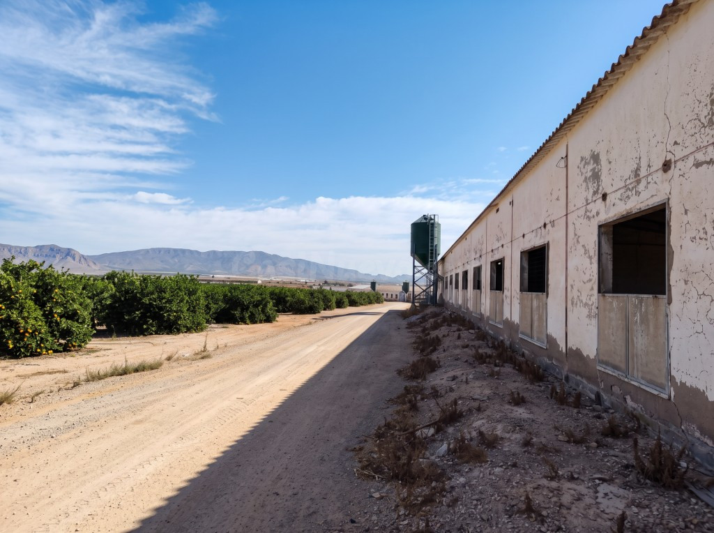 Casa de campo-Masía en Venta en Canovas, Los Murcia - foto 4