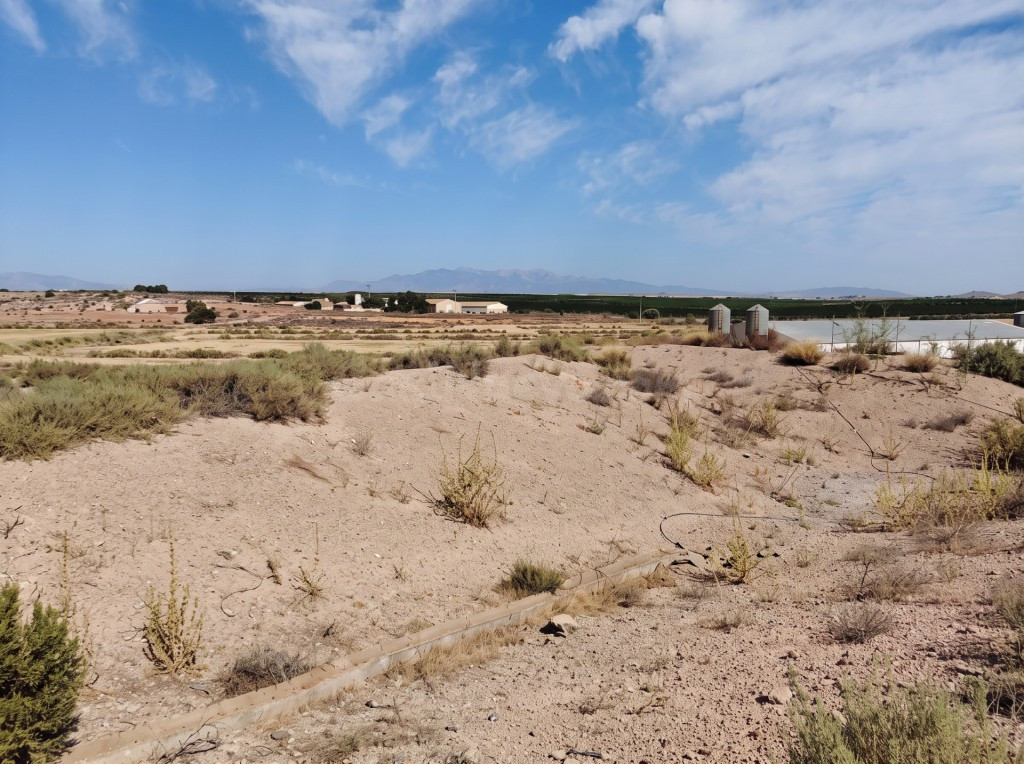 Casa de campo-Masía en Venta en Canovas, Los Murcia - foto 5