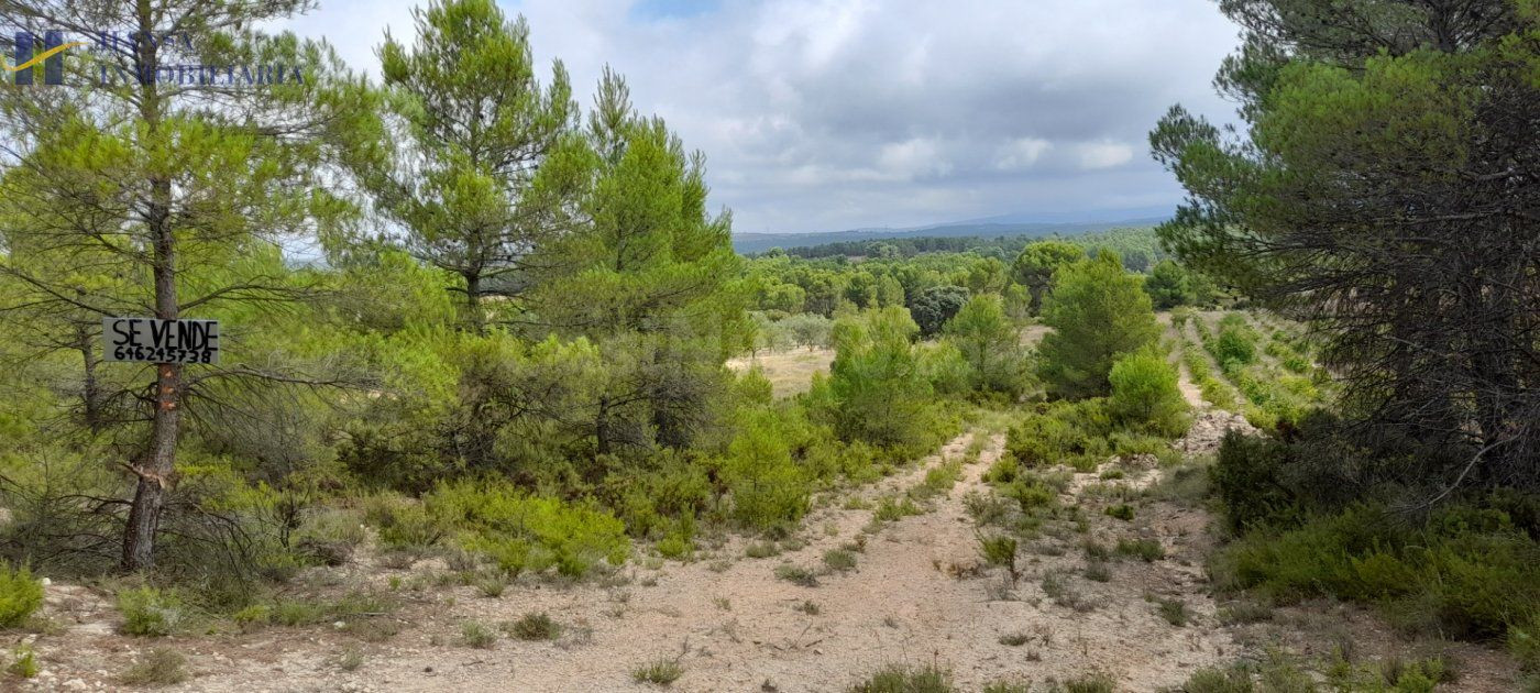 Parcela de terreno en los Pedrones - foto 3