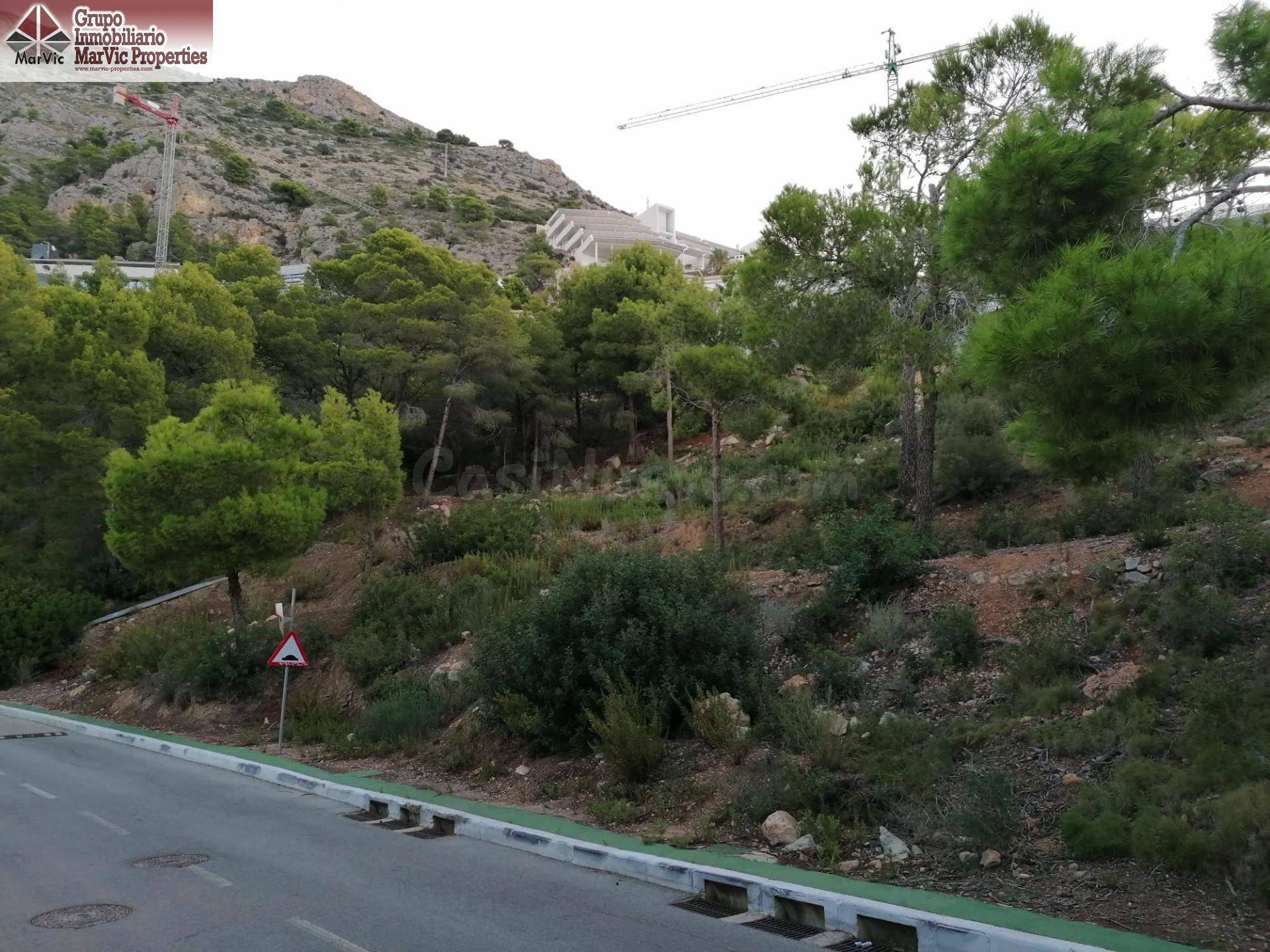 PARCELAS EN ALTEA HILLS CON LICENCIA Y PROYECTO BASICO CADA  - foto 4