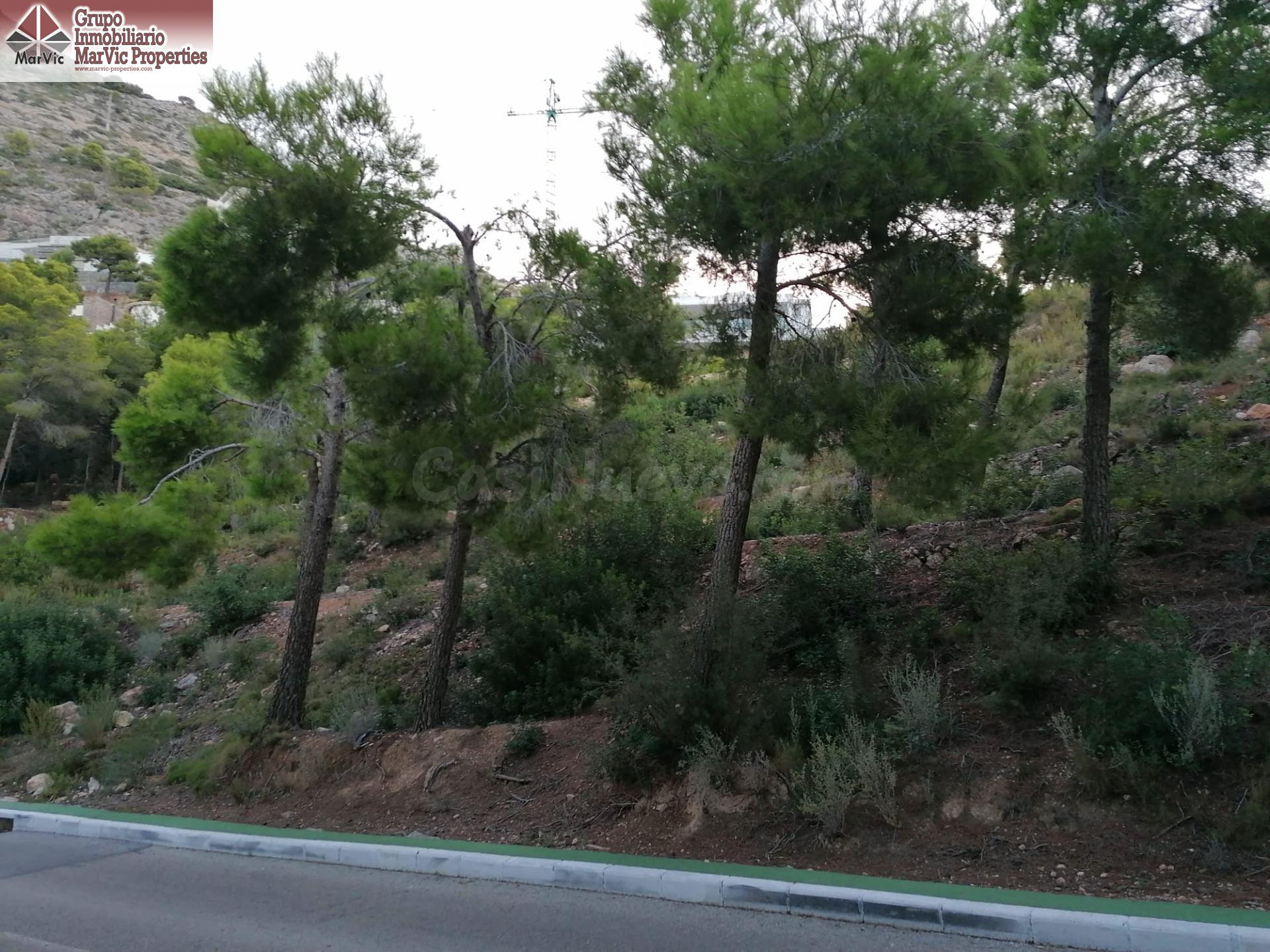 PARCELAS EN ALTEA HILLS CON LICENCIA Y PROYECTO BASICO CADA  - foto 5