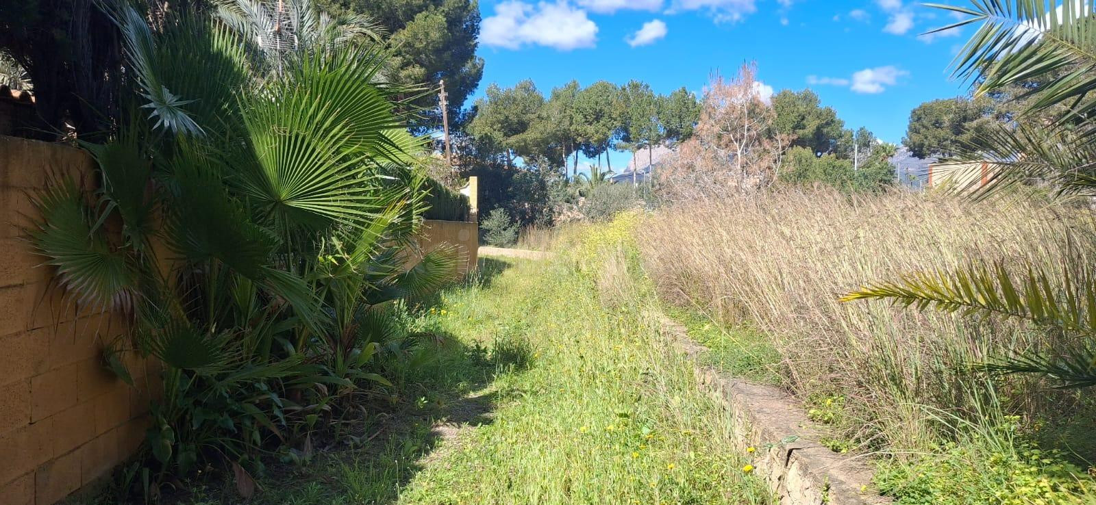 Amplia Casa con Terreno en Benidorm a Reformar - foto 3