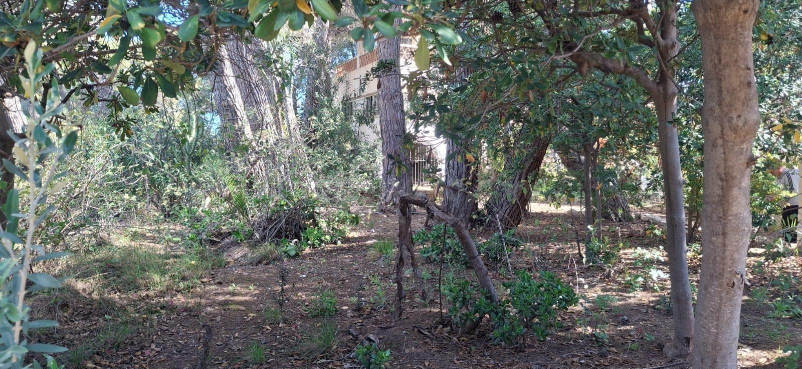 Amplia Casa con Terreno en Benidorm a Reformar - foto 4