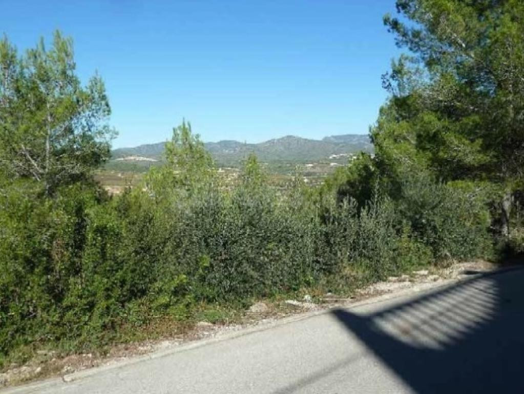 PARCELA EN VENTA EN CAN GORDEY - LA BISBAL DEL PENEDÈS - foto 5
