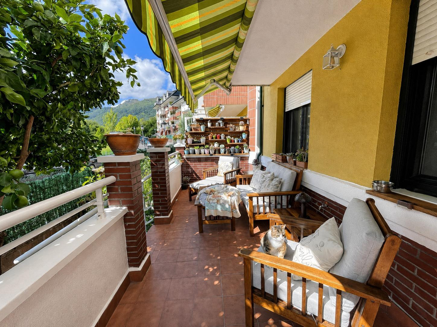 Planta baja con dos terrazas, piscina y pádel en Limpias, Ca