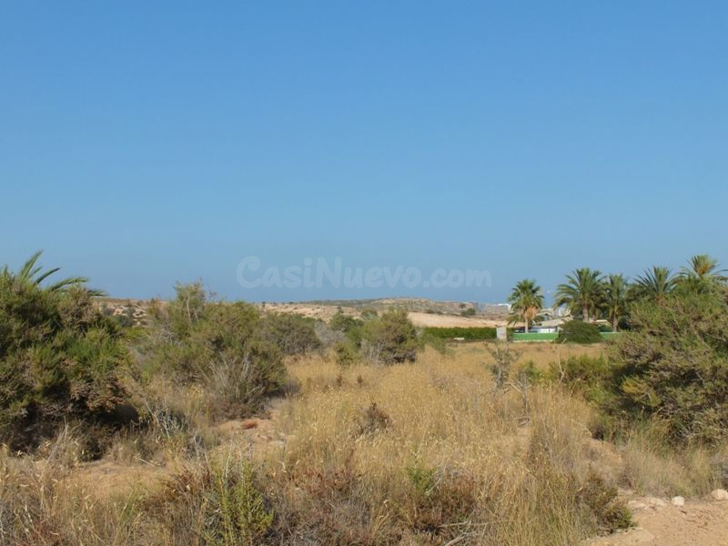 Parcela de 4000m2 terreno no urbanizable ideal para cultivo - foto 2