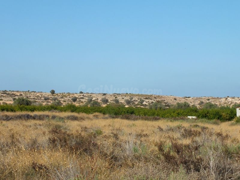 Parcela de 4000m2 terreno no urbanizable ideal para cultivo - foto 3