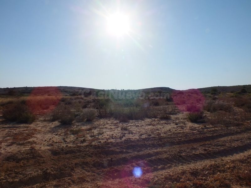 Parcela de 4000m2 terreno no urbanizable ideal para cultivo - foto 5