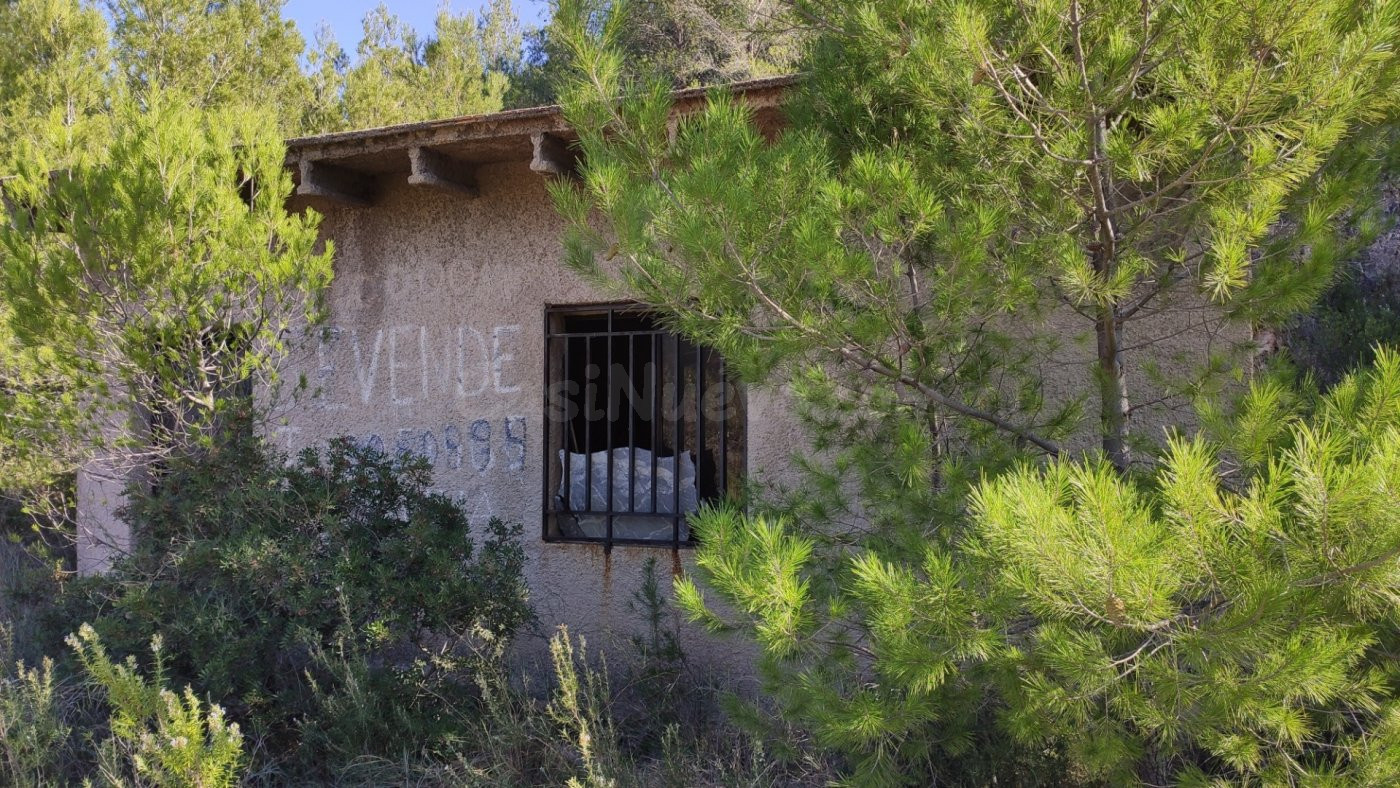 Hermoso Terreno de 40.000m2 en Adsubia (Pego) con posibilida