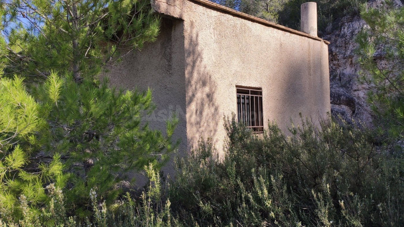 Hermoso Terreno de 40.000m2 en Adsubia (Pego) con posibilida - foto 2