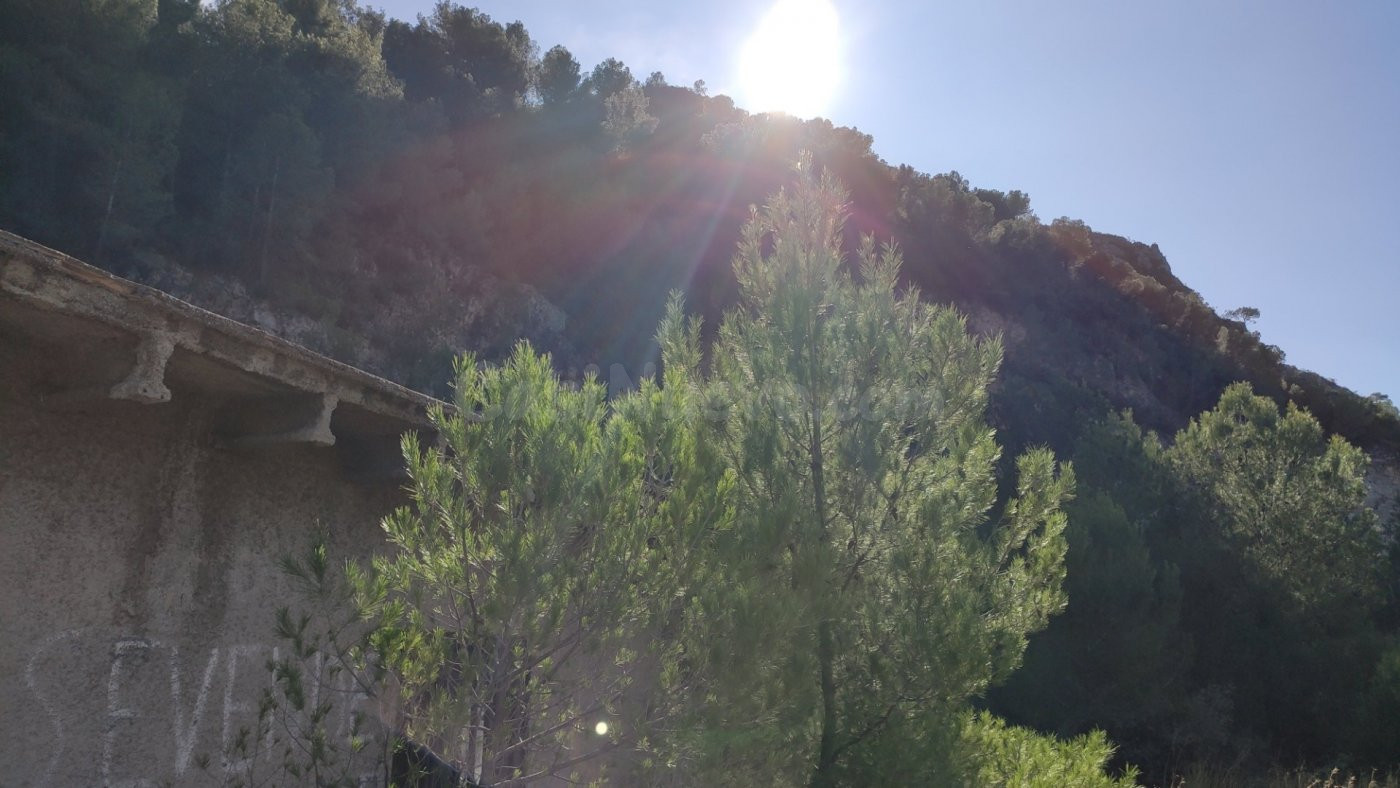 Hermoso Terreno de 40.000m2 en Adsubia (Pego) con posibilida - foto 5