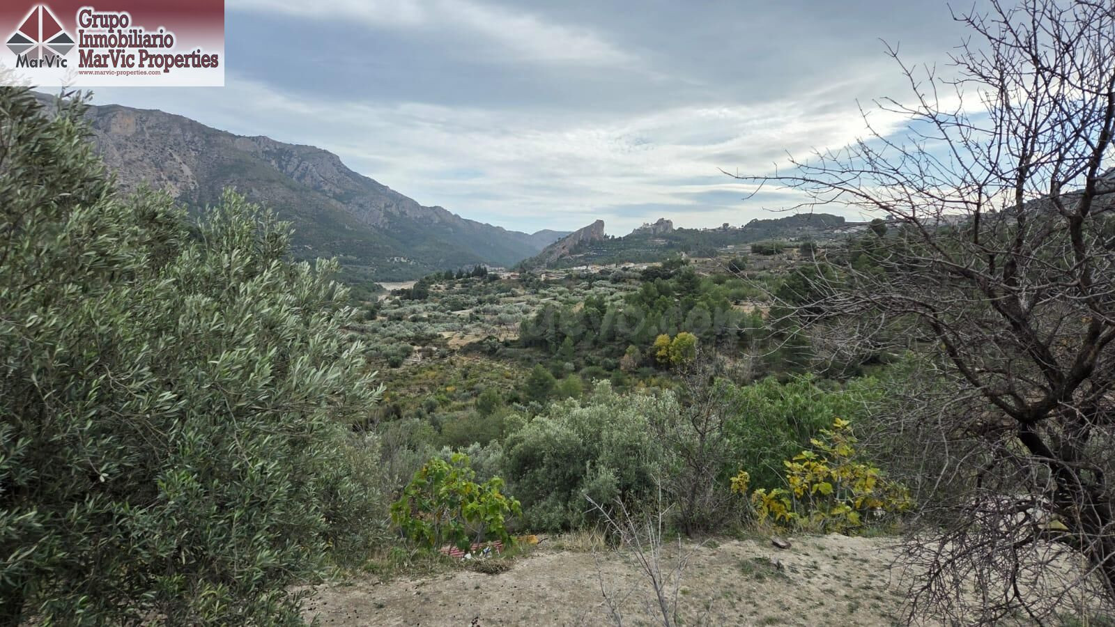 Amplia Parcela en Beniarda - Oportunidad Única - foto 2