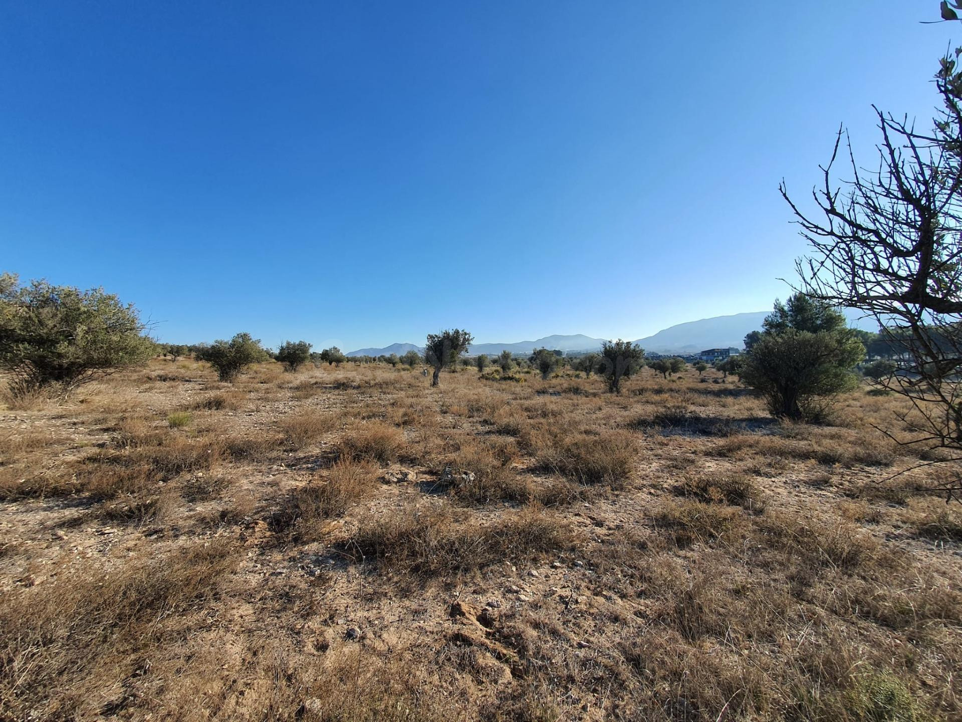 Rustica de 18.832m2 cerca de Villena