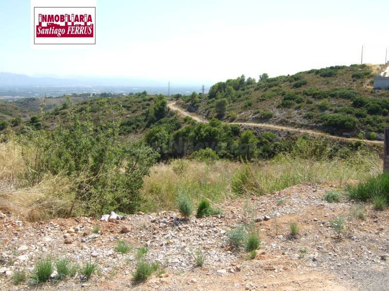 PARCELAS EN VENTA  EN LA URBANIZACIÓN  'LOS LAGOS'  (ALGINET - foto 2