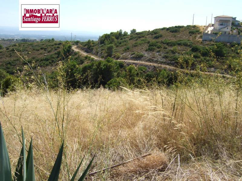PARCELAS EN VENTA  EN LA URBANIZACIÓN  'LOS LAGOS'  (ALGINET - foto 5