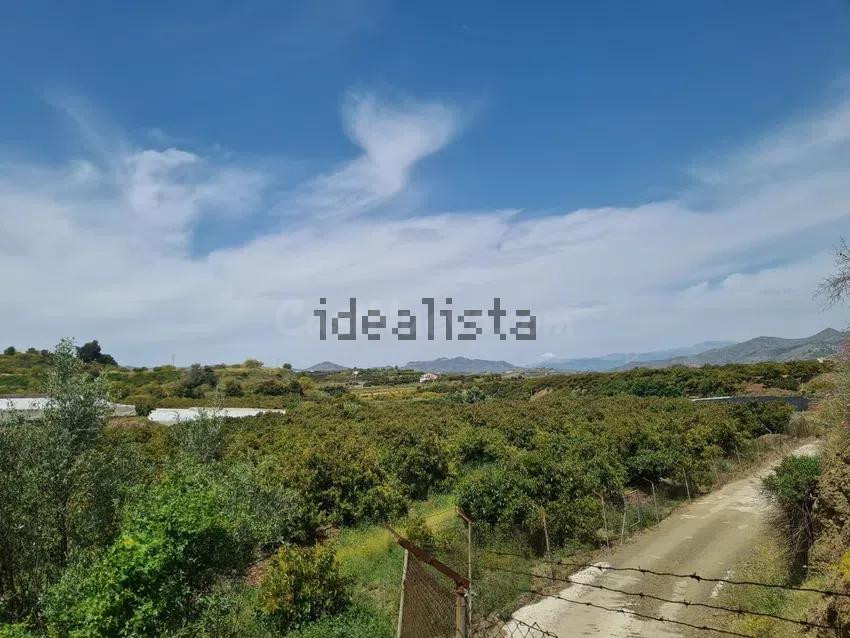 Terreno de 51.686 m2 de Plantación de Aguacates con vivienda - foto 4