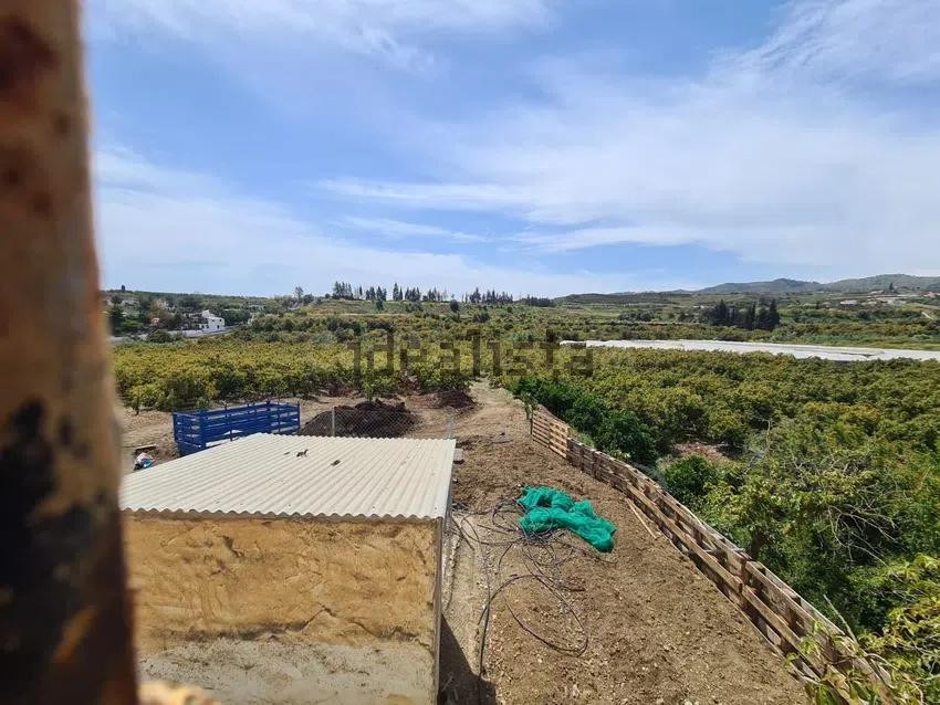 Terreno de 51.686 m2 de Plantación de Aguacates con vivienda - foto 5