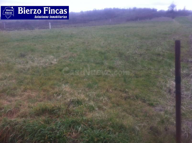 SE VENDE FINCA RÚSTICA EN CORTIGUERA