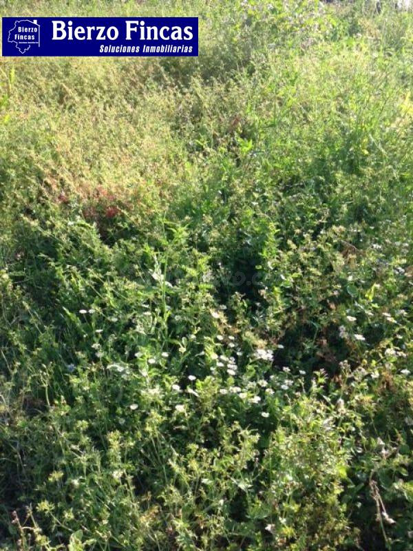 SE VENDE SOLAR EN VILLANUEVA DE VALDUEZA - foto 2