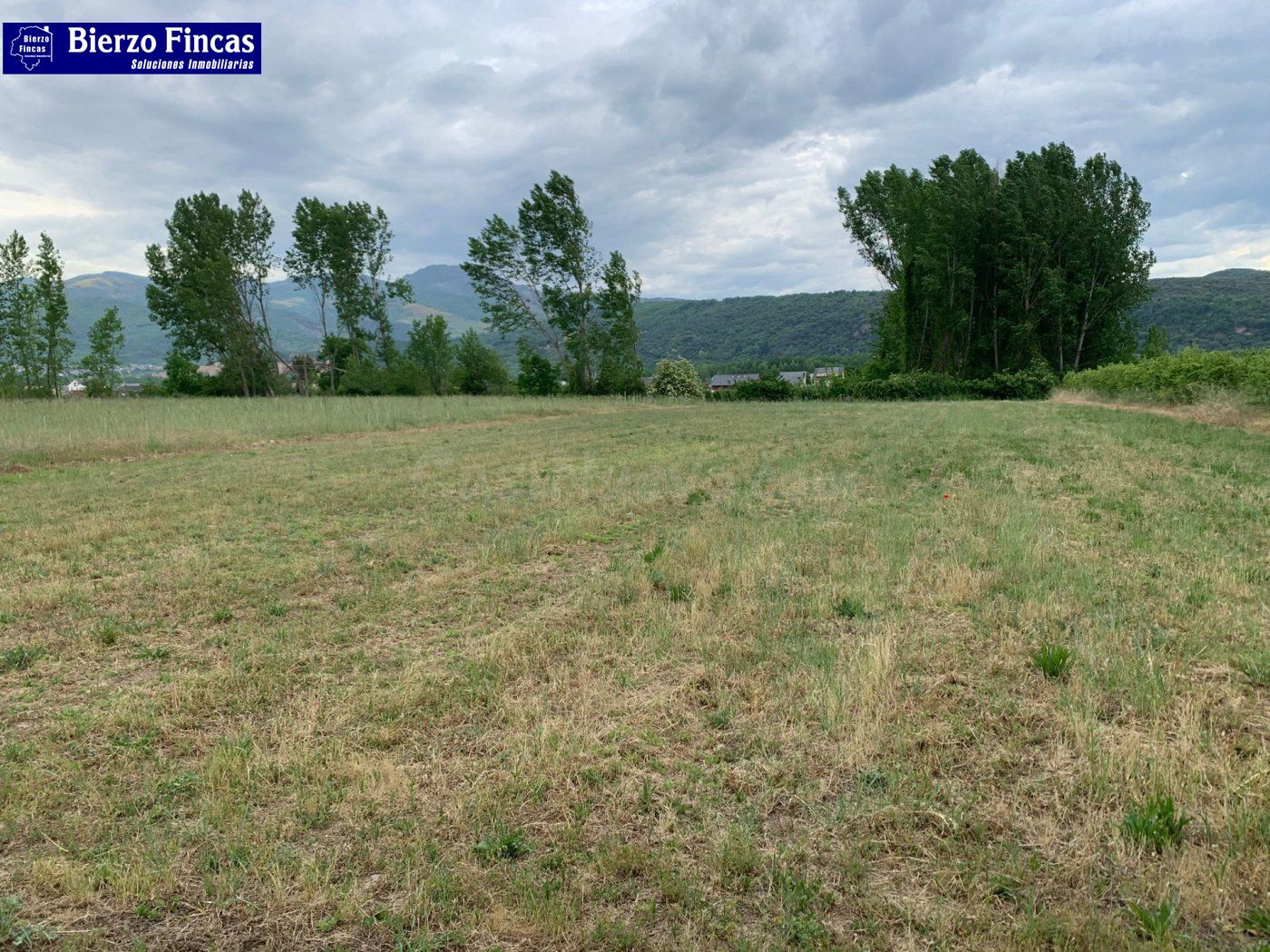 SE VENDE FINCA RÚSTICA EN VILLAVERDE DE LA ABADÍA