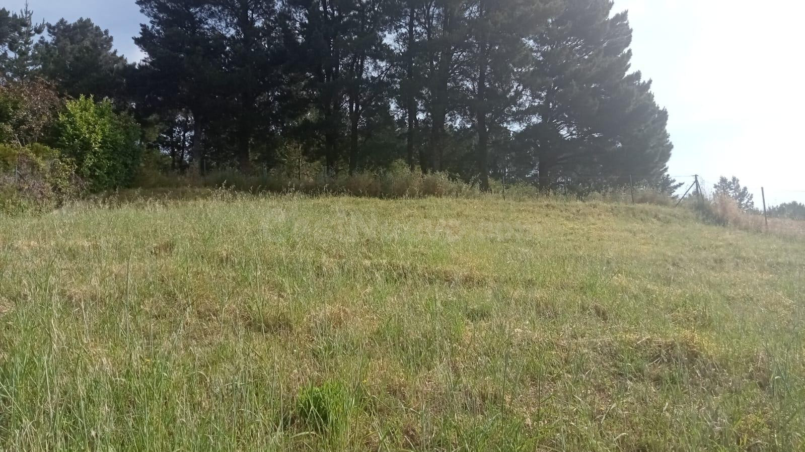 SE VENDE FINCA EN URBANIZACIÓN PATRICIA