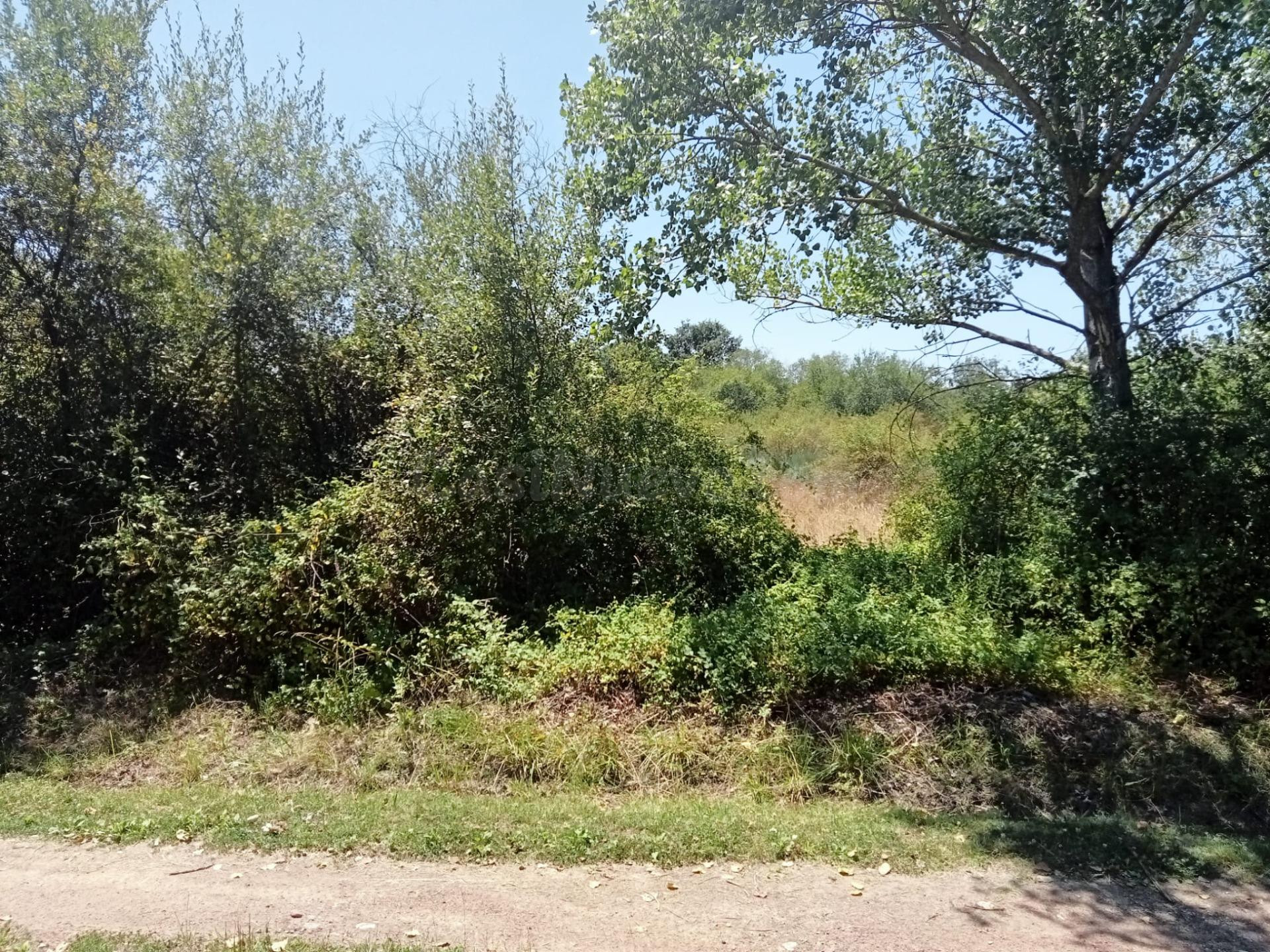 SE VENDE PARCELA A 5 MINUTOS DE PONFERRADA