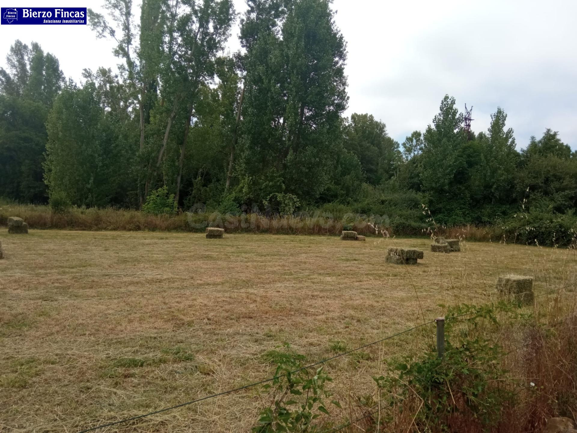 SE VENDE FINCA URBANA EN CUATROVIENTOS