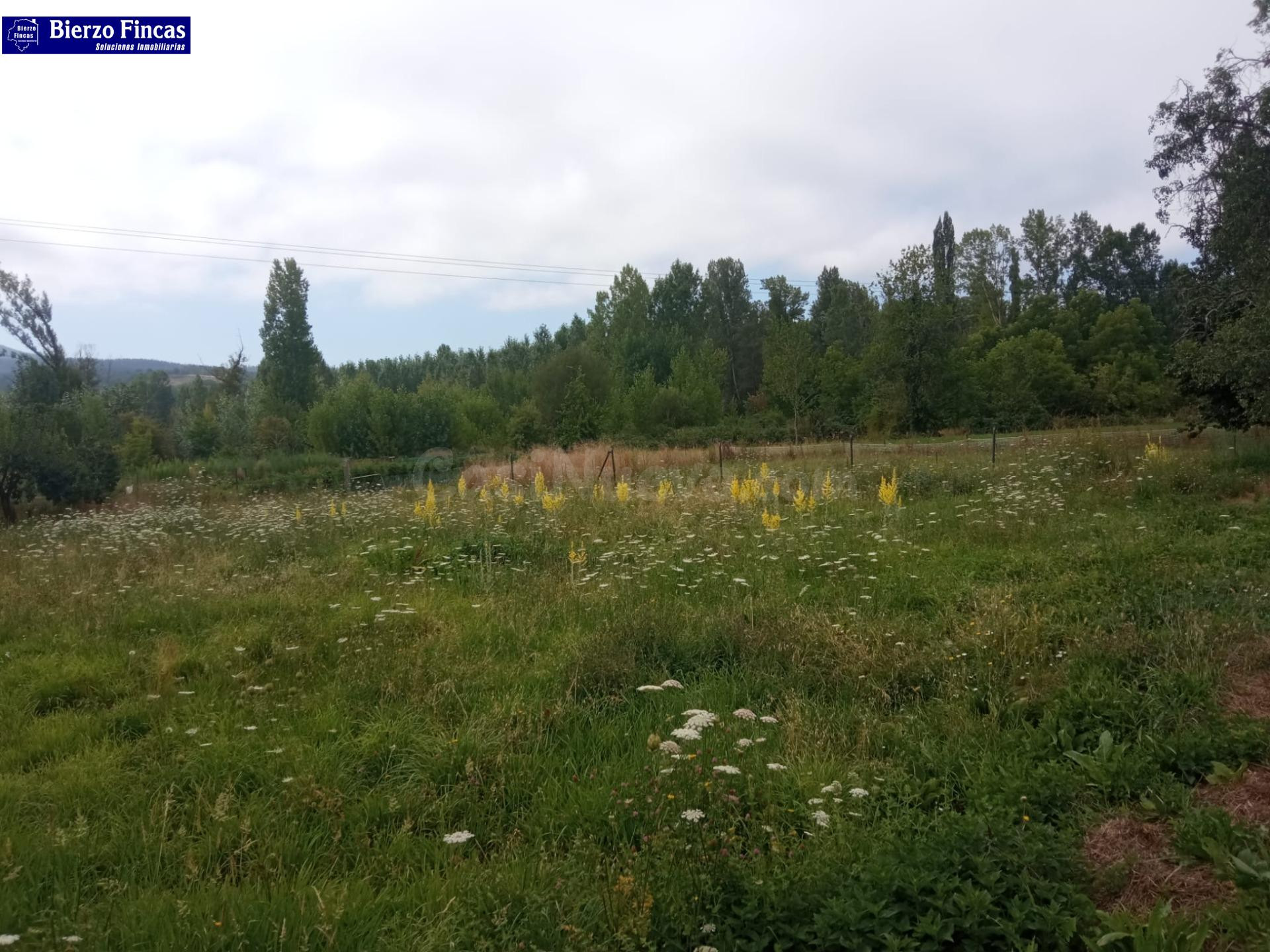 SE VENDE FINCA URBANA DE ENTRE 600-700 M2 EN CUATROVIENTOS