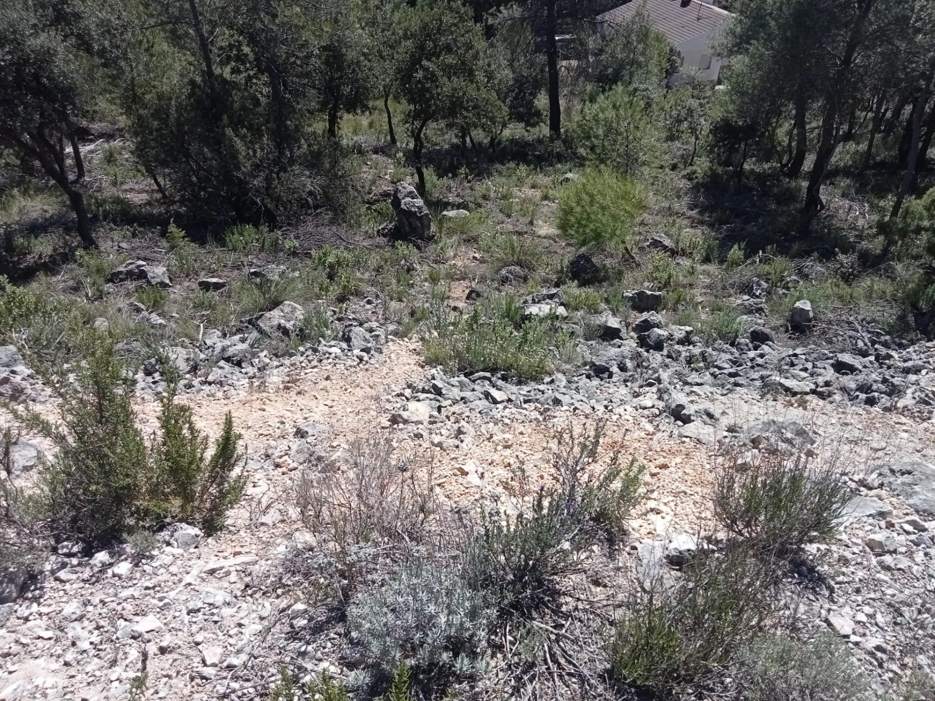 Tegeisa vende parcela de 890 m2